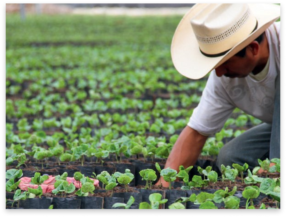 Sustainability